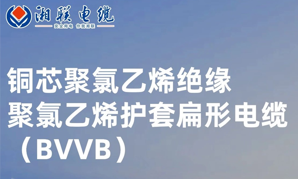 国标认证，品质保障 | 一文解析BVVB（铜芯聚氯乙烯绝缘聚氯乙烯护套扁形电缆）