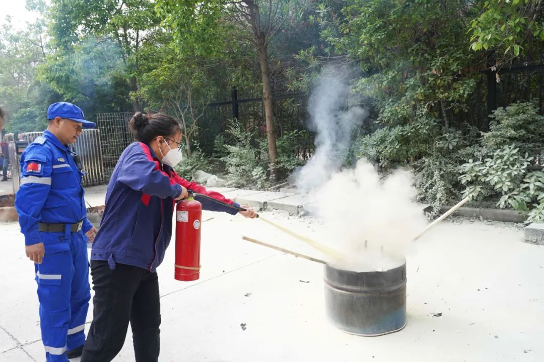 新澳宝典资料大全